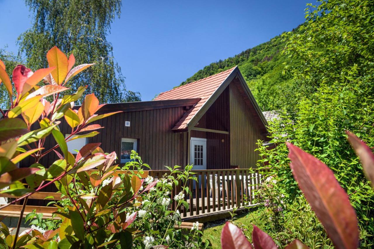 Chalets De La Wormsa Metzeral Esterno foto