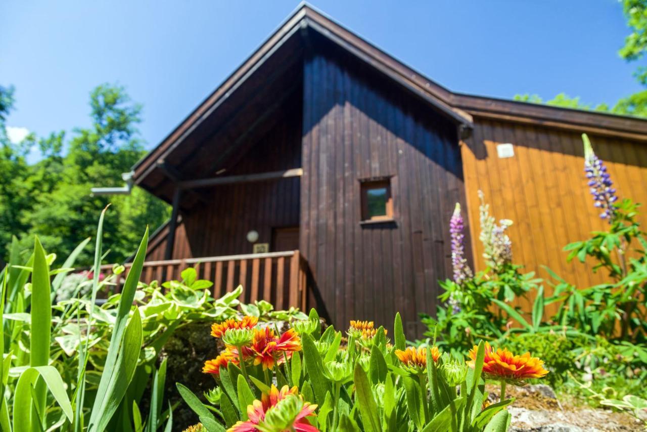 Chalets De La Wormsa Metzeral Esterno foto