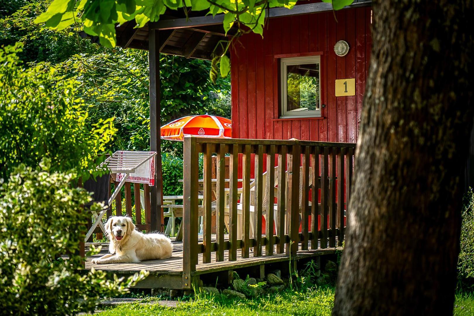 Chalets De La Wormsa Metzeral Esterno foto